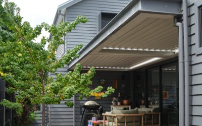 Biophilic Design: Creating Homes That Connect with Nature