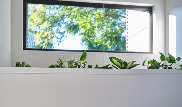 healthy homes by trueline homes