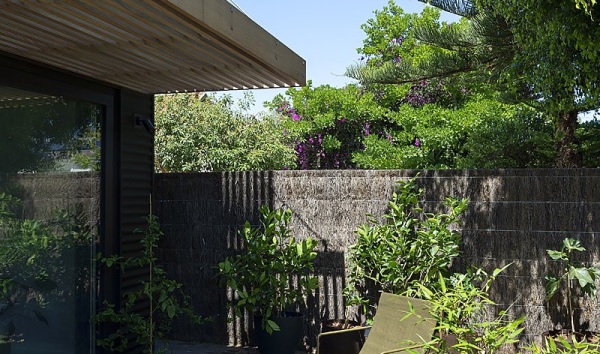 biophilic design in healthy homes by trueline homes