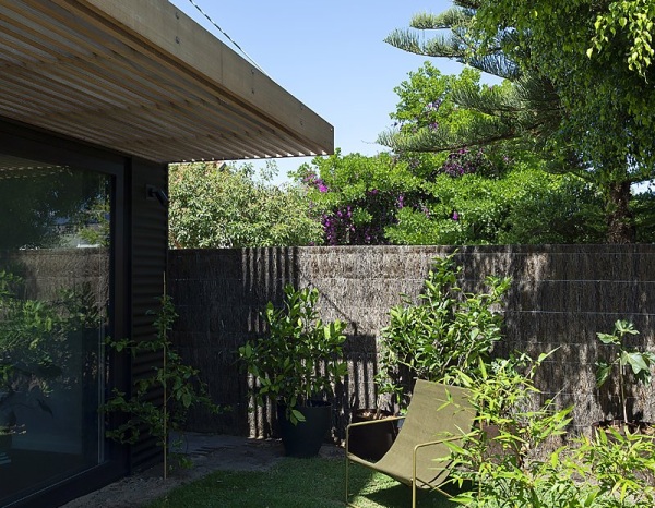 Biophilic Design: Creating Homes That Connect with Nature Image